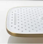 Душевая стойка со смесителем Shevanik S4036G