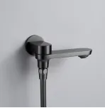 Душевая система Shevanik S4335T