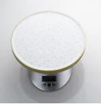 Душевая система Shevanik S4335G
