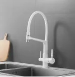 Смеситель для кухни с гибким изливом Rose R658C