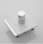 Смеситель с гигиеническим душем с термостатом Rose R105C