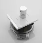 Смеситель с гигиеническим душем с термостатом Rose R105C