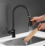 Смеситель для кухни с выдвижным изливом Shevanik S163H