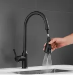 Смеситель для кухни с выдвижным изливом Shevanik S163H