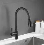 Смеситель для кухни с выдвижным изливом Shevanik S163H