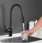 Смеситель для кухни с выдвижным изливом Shevanik S163H