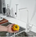 Смеситель для кухни с выдвижным изливом Shevanik S263C