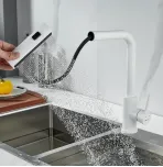 Смеситель для кухни с выдвижным изливом Shevanik S263C