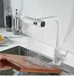 Смеситель для кухни с выдвижным изливом Shevanik S263C