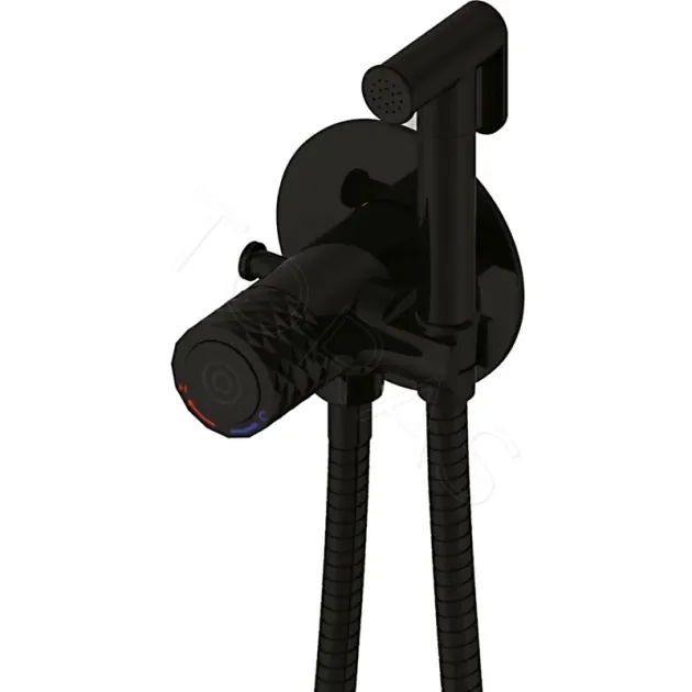Смеситель с гигиеническим душем Rose R225H