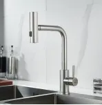 Смеситель для кухни с выдвижным изливом Shevanik S263L