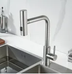 Смеситель для кухни с выдвижным изливом Shevanik S263L