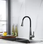 Смеситель для кухни Rose R213T