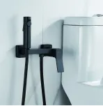 Смеситель с гигиеническим душем Shevanik S4005H-1