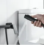 Смеситель с гигиеническим душем Rose R1805H-1