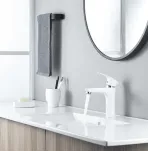 Смеситель для умывальника Shevanik S9801F