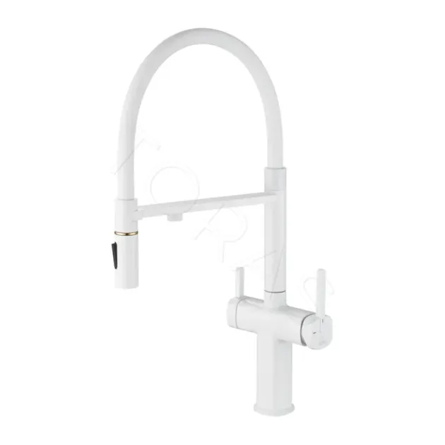 Смеситель для кухни с гибким изливом Rose R358C