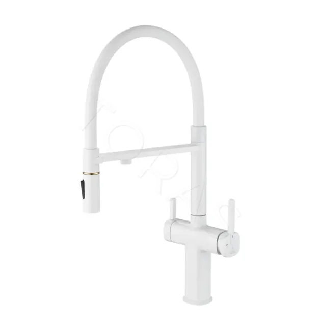 Смеситель для кухни с гибким изливом Rose R358C