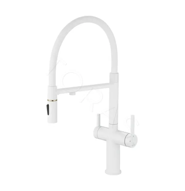 Смеситель для кухни с гибким изливом Rose R458C