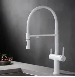 Смеситель для кухни с гибким изливом Rose R458C