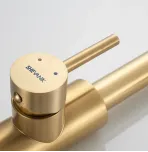 Смеситель для кухни с выдвижным изливом Shevanik S263G