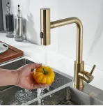 Смеситель для кухни с выдвижным изливом Shevanik S263G