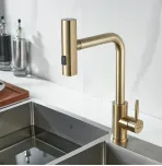 Смеситель для кухни с выдвижным изливом Shevanik S263G