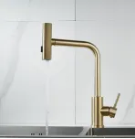 Смеситель для кухни с выдвижным изливом Shevanik S263G
