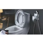 Смеситель с гигиеническим душем Rose R1505F