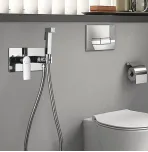 Смеситель с гигиеническим душем Rose R255