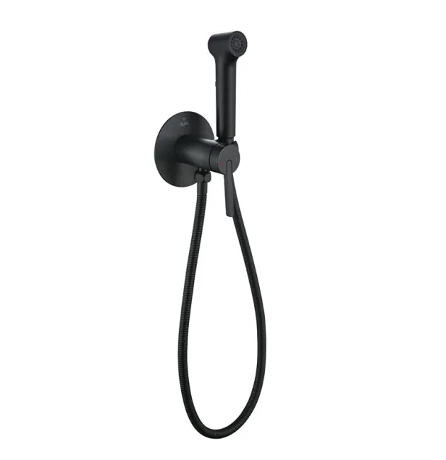 Встроенный гигиенический душ Rose R235H
